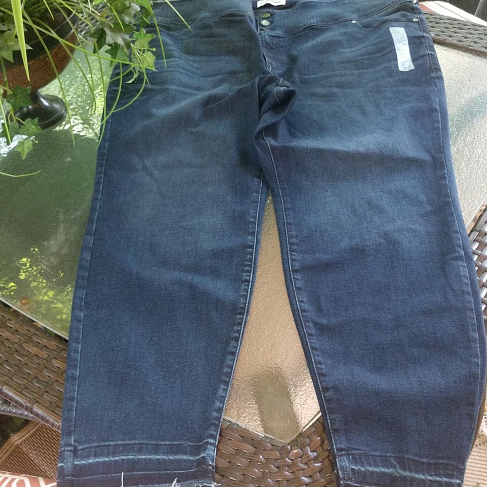 Lane Bryant jeans